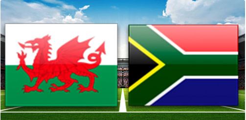 Wales vs South Africa 29 November 2025 Rugby Autumn Nations Full Match Replay